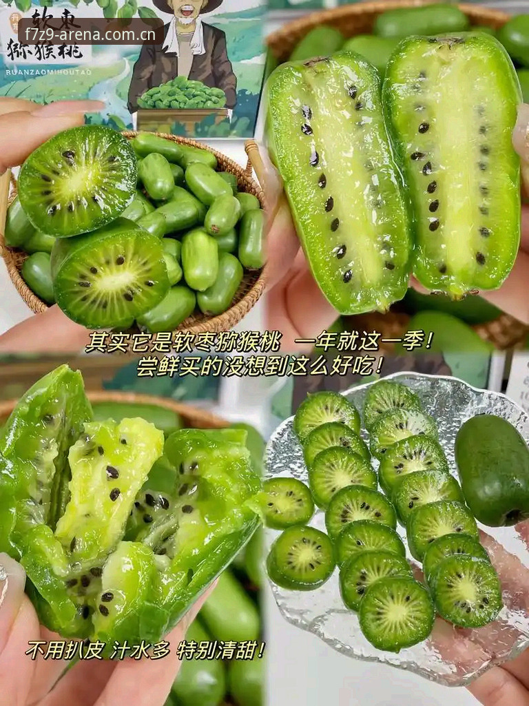奇异果体育怎么样 奇异果体育平台使用指南:从注册到竞猜的完整攻略