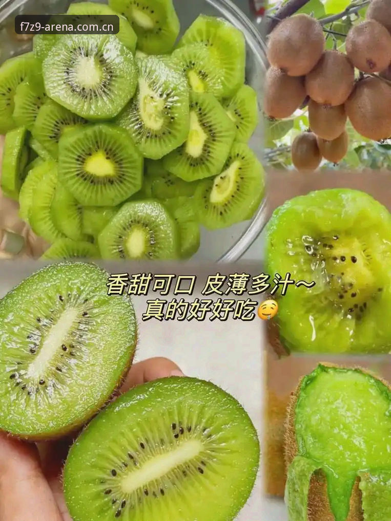 奇异果体育功能详解：从入门到精通的完整操作教程